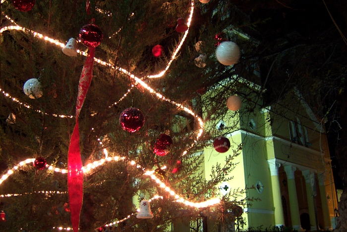 100_2044 small KALYVES XMAS TREE.jpg - 324873 Bytes
